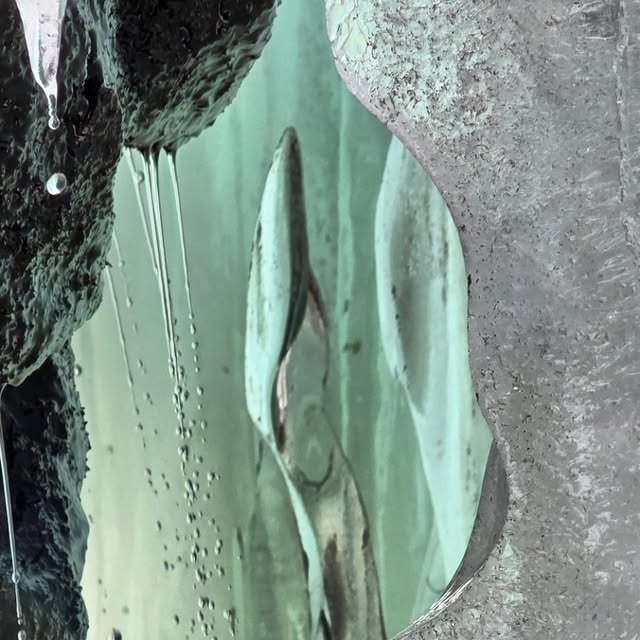 Naturens iskunst❄️💧
Ser dere fisken? Fuglen?

#artofnature #iskunst #norway #sandsvær #icesculpture